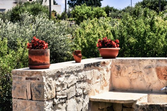 Trulli Pastore - Bed and Breakfast - Esterni